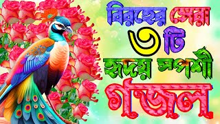 মায়াবী কন্ঠের তিনটি মন প্রান উজাড় করা সেরা কষ্টের গজল || Very Peaceful Voice Bangla Islamic Gojol