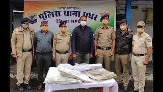 10 बीघा जमीन से नष्ट किए अफीम के 142686 पौधे