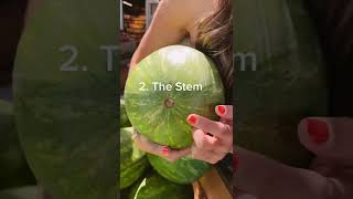 How to Pick the Perfect Watermelon II Kalejunkie