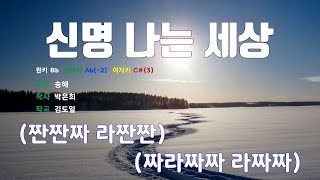 [은성 반주기] 신명나는세상 - 송해