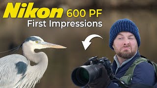 Nikon 600PF: I Shouldn’t Have Rushed My Tests