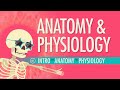 Introduction To Anatomy  Physiology: Crash Course Anatomy  Physiology #1