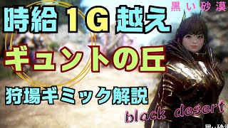 [ 黒い砂漠(PC版)／BDO ] エルビア・ギュントの丘／時給1G以上、狩場ギミック解説