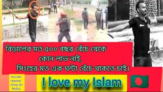 বিপ্লব মানে জীবন দেয়া বসে থাকা নয় গজল । biplob mane jibon deya Bose thaka nay gojol