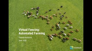 Virtual Fencing: Automated Farming (E-Beef showcase #2)