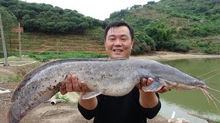 老林赶野 老林在养殖场鱼塘抓起半箩筐塘鲺鱼，全部送给村民和外来的农民工