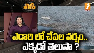 ఎడారి లో చేపల వర్షం .. ఎక్కడో తెలుసా ? | International Rapid News | iNews