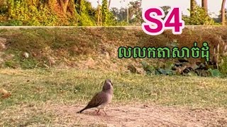 អាS4😍🕊Ep76