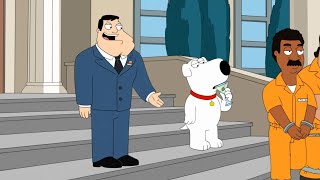 Brian Griffin on American Dad
