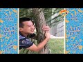 Chinese Funny Videos   Funny Indian Comedy Pranks Compilation Try Not To Laugh P4