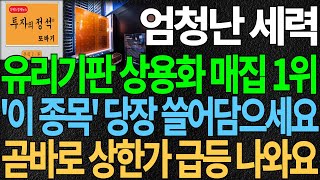 [유리기판 대장주] 엄청난 세력 유리기판 상용화 매집 1위 '이 종목' 당장 쓸어담으세요 곧바로 상한가 급등 나와요 유리기판관련주 글라스기판관련주 디에스경제뉴스 또바기