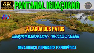 Iguaçuan Marshlands - The Duck's Lagoon