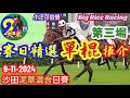 〖賽日精選單棍〗9-11-2024 沙田泥草混合日賽 - 提供第 3 場: 單W馬胆 + 單棍配腳 /〖大米二台會員計劃介紹〗