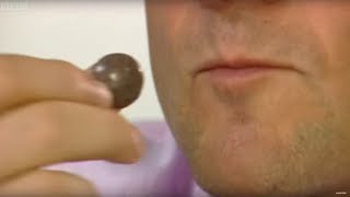 Why Do We Love Chocolate? | Earth Science