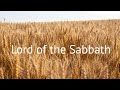 Lord of the Sabbath - Mark 2:23-28 - June 2, 2024