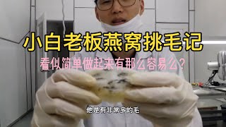 小白老板燕窝挑毛记：看似简单做起来有那么容易么？