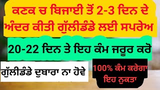 ਕਣਕ ਦੀ ਬਿਜਾਈ ਸਮੇਂ ਸਪਰੇਅ ਕੀਤੇ ਨਦੀਨਨਾਸ਼ਕਾਂ ਦਾ ਚੰਗਾ ਅਸਰ ਲੈਣ ਲਈ ਜਰੂਰੀ ਨੁਕਤਾ Wheat pyroxasufon weedicide