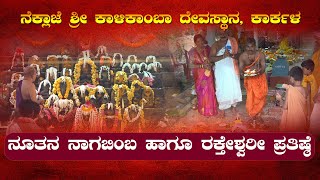 ನೂತನ ನಾಗಬಿಂಬ ಹಾಗೂ ರಕ್ತೇಶ್ವರೀ ಪ್ರತಿಷ್ಠೆ | ನೆಕ್ಲಾಜೆ ಶ್ರೀ ಕಾಳಿಕಾಂಬಾ ದೇವಸ್ಥಾನ, ಕಾರ್ಕಳ | News Karkala