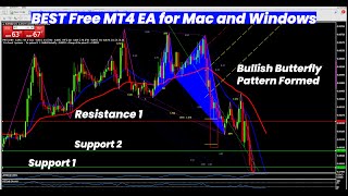 Best Free MT4 EA for Mac and Windows |Support \u0026 Resistance | Bullish Butterfly | How to apply them