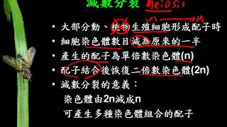 10701高二基礎生物ch4 1 12減數分裂簡介二毅