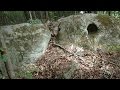 Mysterious ROCK and S.C. BUTTON found while Metal Detecting! | Nugget Noggin