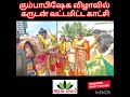 கும்பாபிஷேக விழாவில் கருடன் வட்டமிட்ட காட்சி