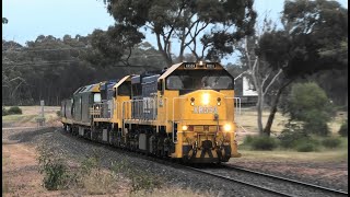 XR553-551-G528 on 9149 at Llanelly.  11-11-22.