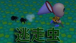 【街森】ー逃走虫ー【実況プレイ】