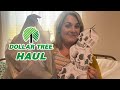 Dollar Tree haul #dollartree #dollartreehaul