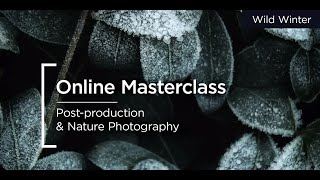 Online Masterclass | Post-production \u0026 Nature Photography