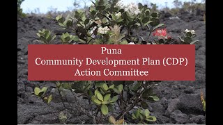 Puna CDP Action Committee Meeting - December 5, 2024