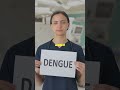 Dengue Alert! Stay Safe with ImunPlus