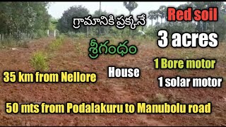 Land for sale 3 acres//Nellore district//Podalakuru Mandalam//9676114449