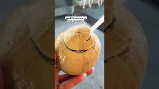 Smaller coconuts are sweeter! Don’t want the large ones anymore 👍🥰 #coconut #food