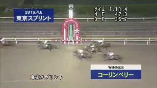 第27回 東京スプリント(JpnIII)の優勝インタビュー動画