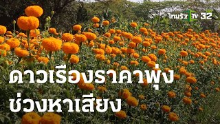 ชาวสวนยิ้มร่า ดาวเรืองราคาพุ่งช่วงหาเสียง | 09-03-66 | ข่าวเที่ยงไทยรัฐ