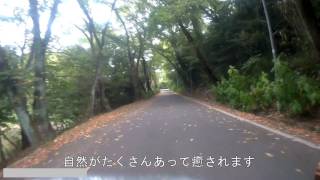 [SJ5000使用] 三好公園サイクリング