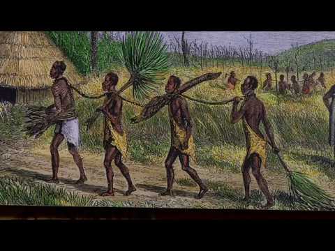 When were the first African slaves brought to the colony of South Carolina?