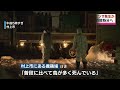 【高病原性鳥インフルエンザの疑い】村上市の養鶏場　県内過去最多の約１３０万羽を殺処分へ　県が対策本部会議　《新潟》