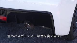 Vitz GR SPORT “Racing” Package【イオタガレージ】