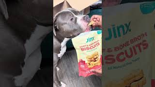 Unboxing Jinx dog food with Turbo!