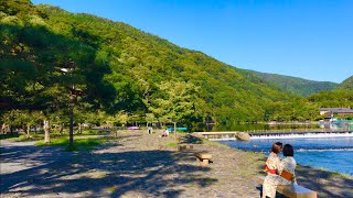 2019年9月14日(土)朝の京都嵐山 🌟Arashiyama  Kyoto  ✨ 岚山🌱【4K】