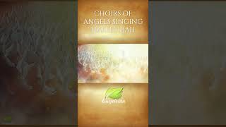 Choirs of Angels Singing Hallelujah | Heavenly Music | Sounds of Heaven