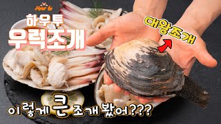 조개의 왕~ 왕우럭조개(코끼리조개) 손질법 _ How To Keen’s gaper(Japanese geoduck)