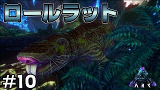 ARK一の不細工フェイス 『ロールラット』テイム！鋭い前歯でどんな硬い物もぶち壊す？【Aberration（アベレーション）】#10