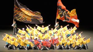 【4K】よさこいダンスチーム東海大学響｜翼咲（ODAWARAえっさホイおどり2023準大賞受賞演舞)