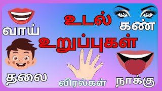 மனித உடல் உறுப்புகள்| Learn body parts name in tamil|parts of the body in tamil|@chuttikutties-3232