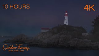 A Foggy Night on Vancouver Island | FOGHORN, Wind & Wave Sounds Ambience | Relax | Study | Sleep
