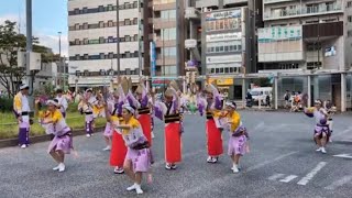 三鷹商工連　第46回小金井阿波おどり　2024年7月28日