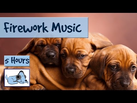 5 Hours of Music to Calm Down Dogs, Perfect During July 4th Fireworks πΆ #FLATNOSE03 5 Hours of Music to Calm Down Dogs, Perfect During July 4th Fireworks πΆ #FLATNOSE03